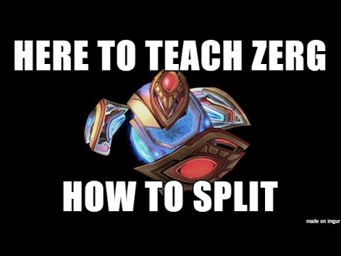 Starcraft 2: ZvP Disruptor DROP Analysis