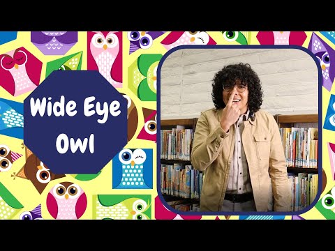 Wide Eye Owl