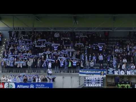 ZebraVision KW37 YouTube