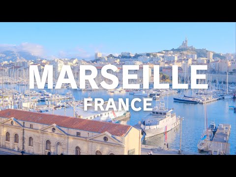 20世紀後半のWFPの見解