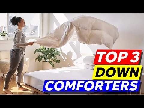 Top 3 Down Comforters to Buy in 2026