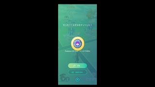 ポケモンＧＯ【ツアー】シンオウ☆初日