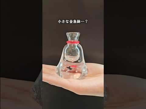 idee deco terrasse -arbustes-fleuris-salon-jardin-fer-forgé