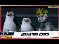 The Penguins Of Madagascar Full Episode Misfortune Cookie