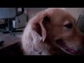 Poppermost "Duchess" music video
