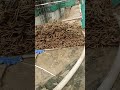 Music Newsite Construction Constructioncompanies Dewatering