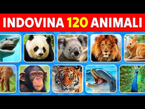 Indovina 120 Animali in 3 Secondi | Facile, Medio, Difficile, Impossibile