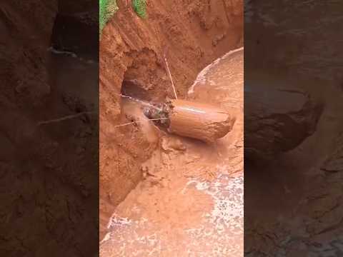 Modren Farming #shorts #agriculture #farming2024 #youngfarmers #EliteShortsUnleashed #2571