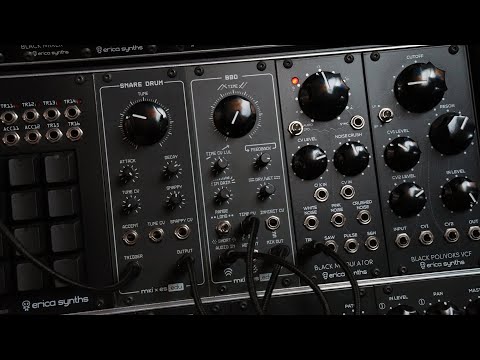 Erica Synths - EDU DIY BBD Delay [Kit] image 2