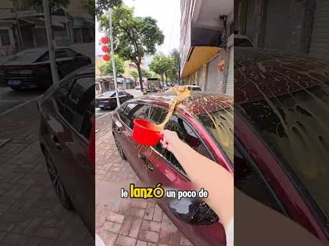 Este Sujeto se Vengó del Auto que Bloqueaba su Entrada 😱