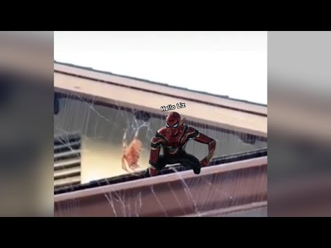 Tom Holland meets Bully Wanda for the first time