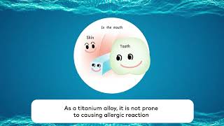 Find out why its properties are ideal for orthodontic wires.