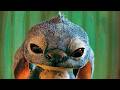 Lilo Stitch Jumba Attacks Stitch And Lilo Ends Up In The Hospital Scene Recap