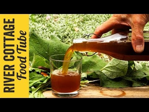 Dandelion & Burdock Beer | Hugh & John Wright