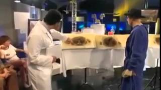 Autopsy - Life and Death - Cancer [2]