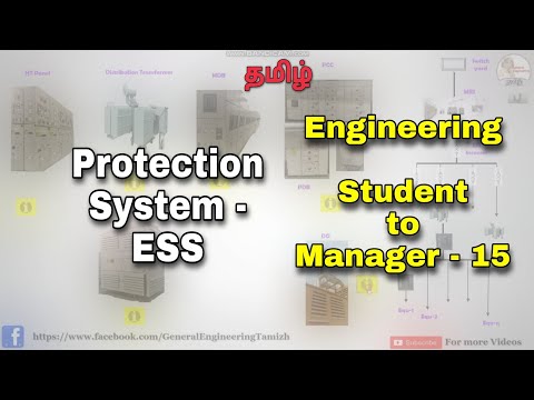 How to become a manager from Student Basics about the Industry