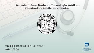 Equilibrio ácido base (Parte 2) - Digestivo, Renal y Endócrino
