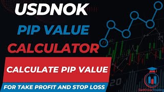 USDNOK Pip Calculator - Calculate Pip Value in USD