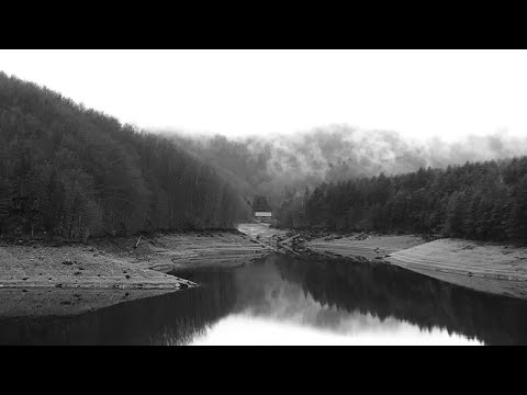 Suika #079 w/ Jason Scoble, Brlee, Kirill Golikov, Mulya, Paul Deep, RAL7016, Solonoi and others....