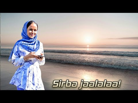 Oromo music - Taju Shurube - Sirba jaalalaa afaan Oromoo