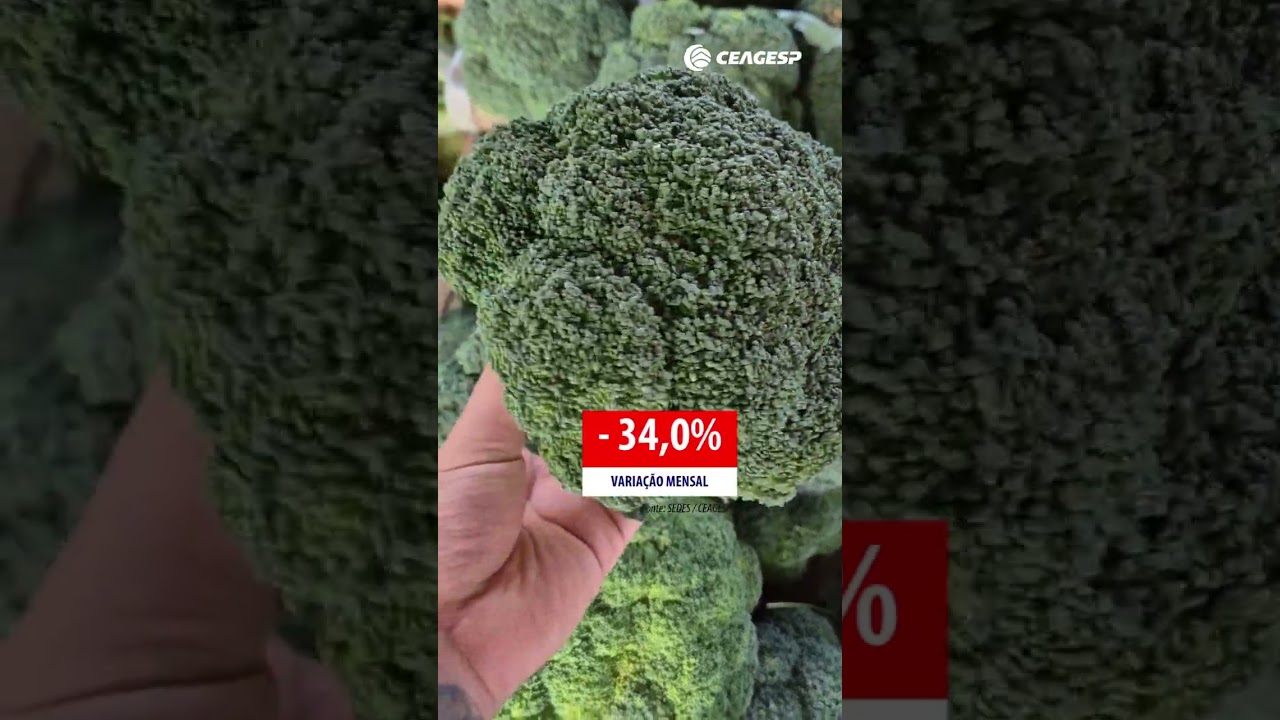 Produto destaque da semana no atacado, brócolos ninja apresentam menor preço desde janeiro de 2026
