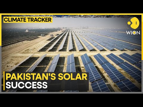 Pakistan Becomes Biggest Solar Panel Importer | World News | WION Climate Tracker