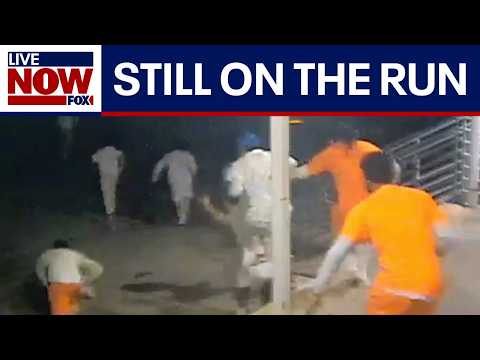 Video | New Orleans jail escape: 7 inmates still on the run