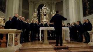 preview picture of video 'Ave Maria (Bepi de Marzi) - I Cantori di Santa Margherita (Fidenza PR)'