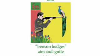 Benson Hedges Music Video