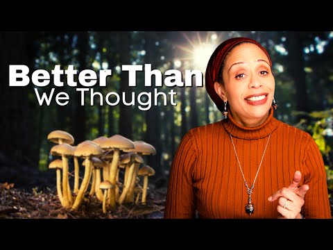 Psychedelics - Here’s Where We Are