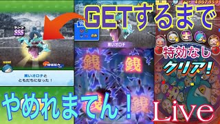 【妖怪ウォッチぷにぷに】黒オロチを特効なしで倒すまでやめれまてん！？