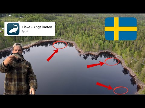 How YOU are guaranteed to catch fish from the shore in Sweden / Fishing in Sweden #3