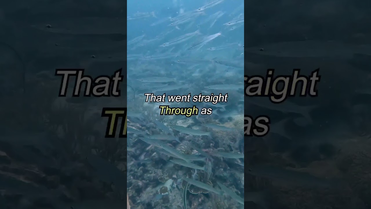 YouTube Short thumbnail