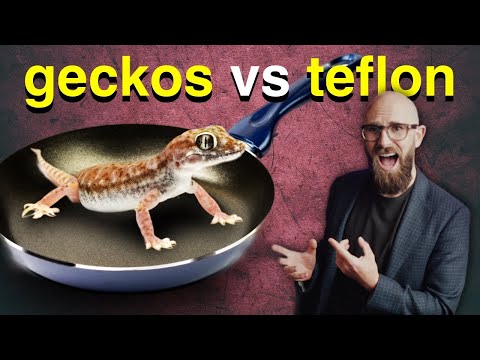 The Accidental Invention That Changed the World