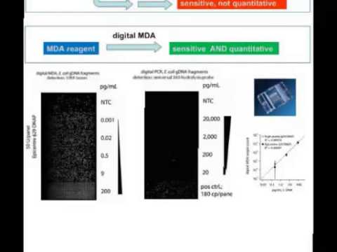 Paul Blainey, PhD, Broad Institute of Harvard and MIT