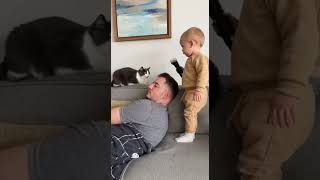 💇‍♂️ Dad’s Sleeping Haircut Goes Wrong! 👶 Cat Can’t Believe It 😂🐱 #cat #subscribe #funny #viral
