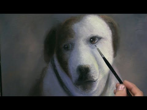 How to Paint a Dog - Pet Portrait | Paint with Kevin®