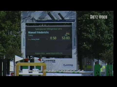 MSG Cordoba 6 jähriger Clarimo X Quintero Holsteiner Wallach