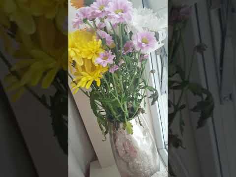 Sup34. Forced allergy sneezing fit from pollen/flowers