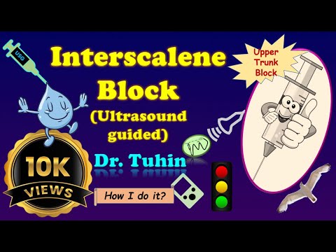 Interscalene Brachial Plexus Block | Ultrasound-guided | Upper Trunk Block | ISB | Anatomy  Review