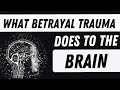 What Betrayal Trauma Does to the Brain | The Impacts of Partner Betrayal Trauma