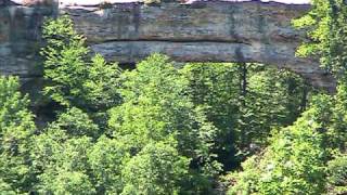 preview picture of video 'Natural Bridge State Resort Park at NewporterJazz'