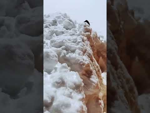 Huge Avalanche in Annapurna I,