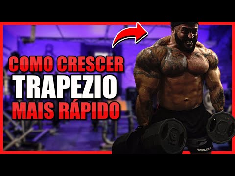 COMO CRESCER TRAPÉZIO MAIS RÁPIDO [TREINO COMPLETO]