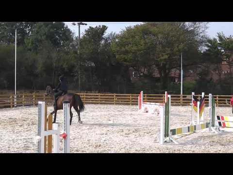 Moby and Wendy show jumping training