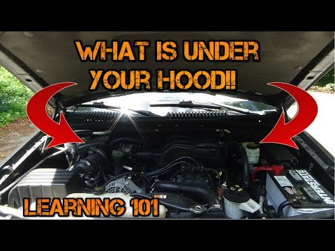 Car Learning - Whats Under Your Hood?