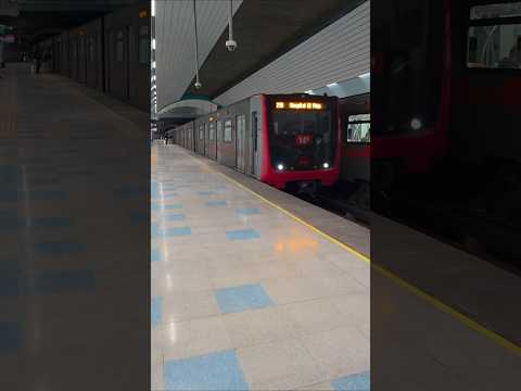 Metro de Santiago | Línea 2 | Par de trenes Alstom NS-16 Ubicados en la Estación El Bosque.