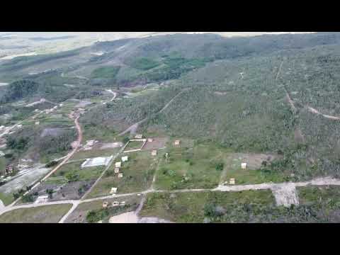 #Cidade que mana leite e mel# cidade araçás #viral 