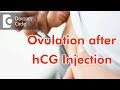 How Many Hours After HCG Injection Does Ovulation Occur Dr Sangeeta Gomes