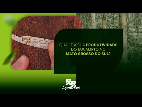 Qual é a produtividade do seu eucalipto no Mato Grosso do Sul? 🌱